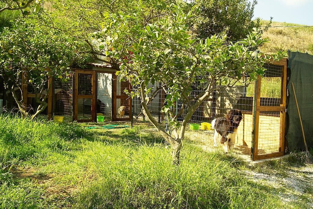 Villaggio Hotel Lido San Giuseppe Бриатико Екстериор снимка